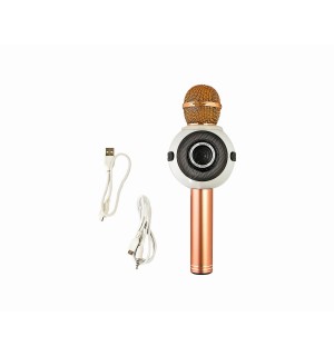 Микрофон Караоке WSTER WS-878